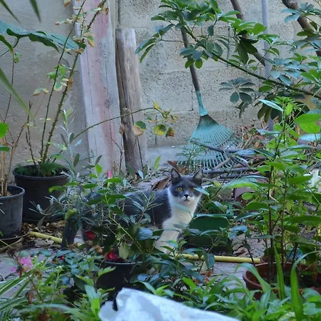 Notte Di Luna Gasthof 3*